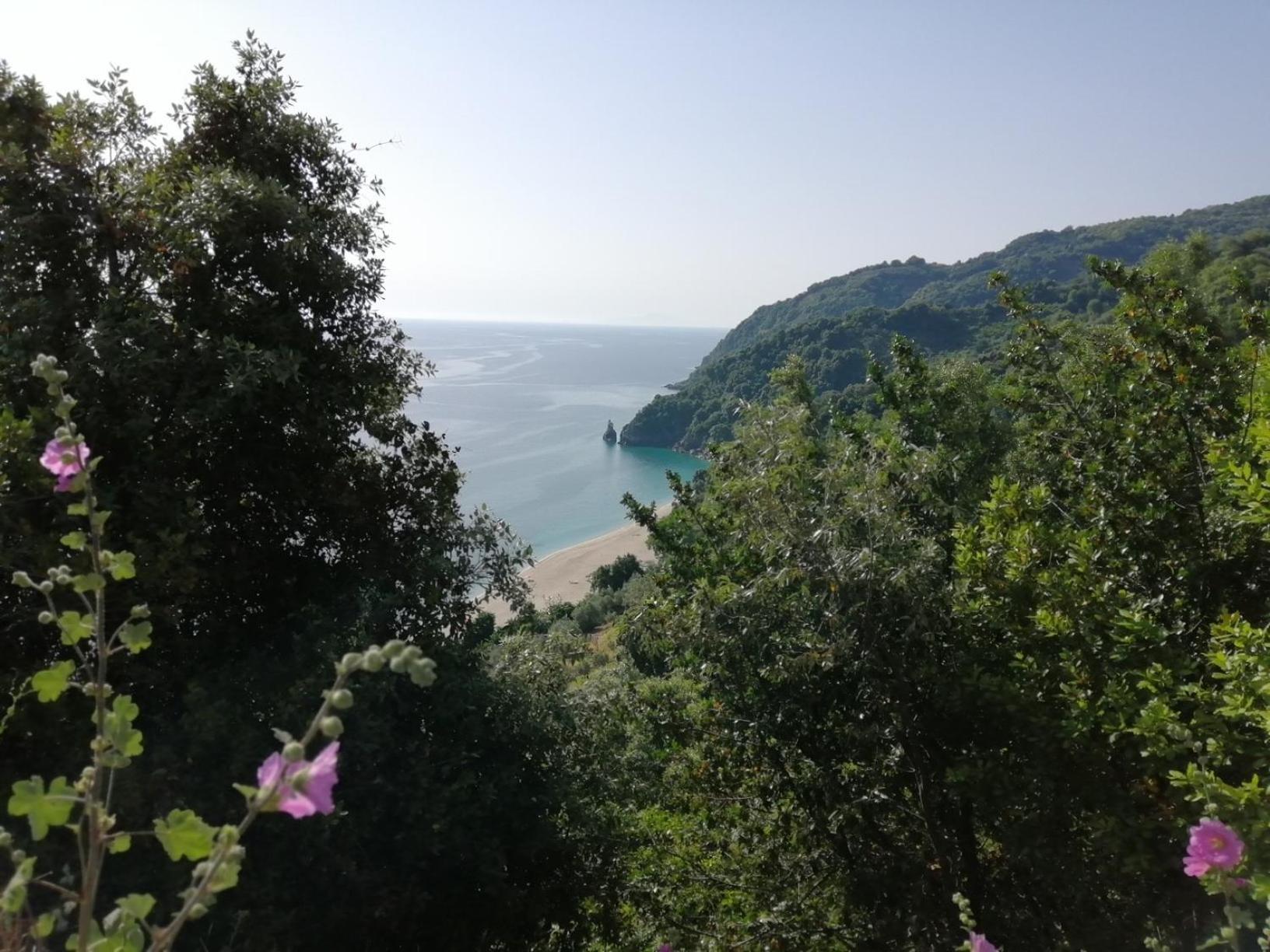 Guest House Pafili 扎戈拉 外观 照片