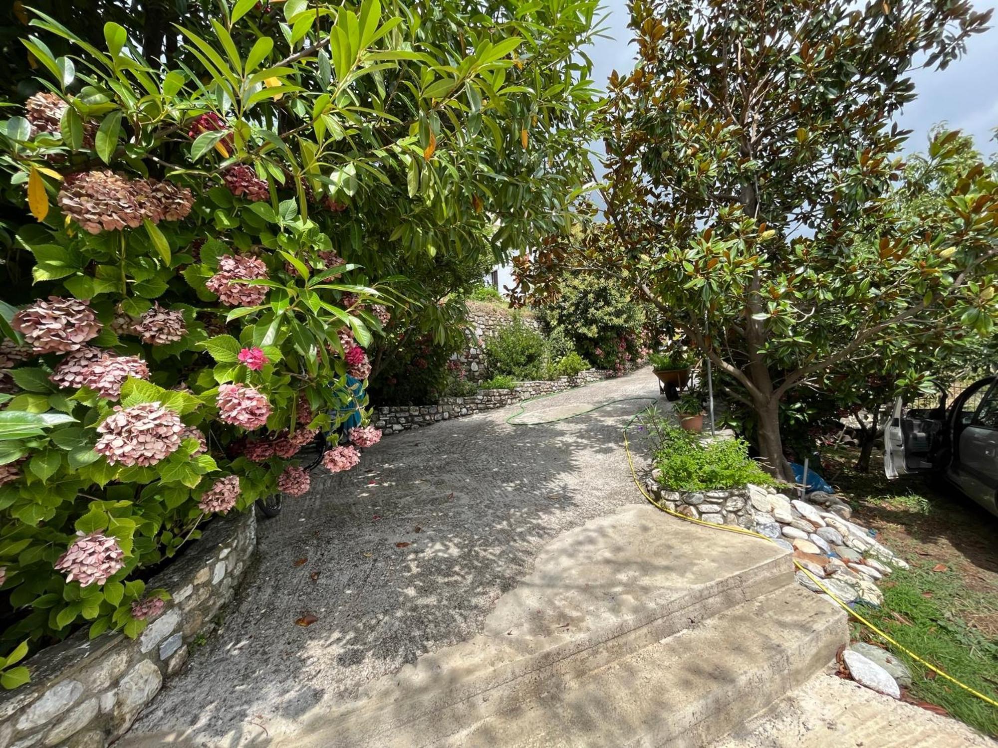 Guest House Pafili 扎戈拉 外观 照片